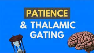 Patience and Thalamic Gating